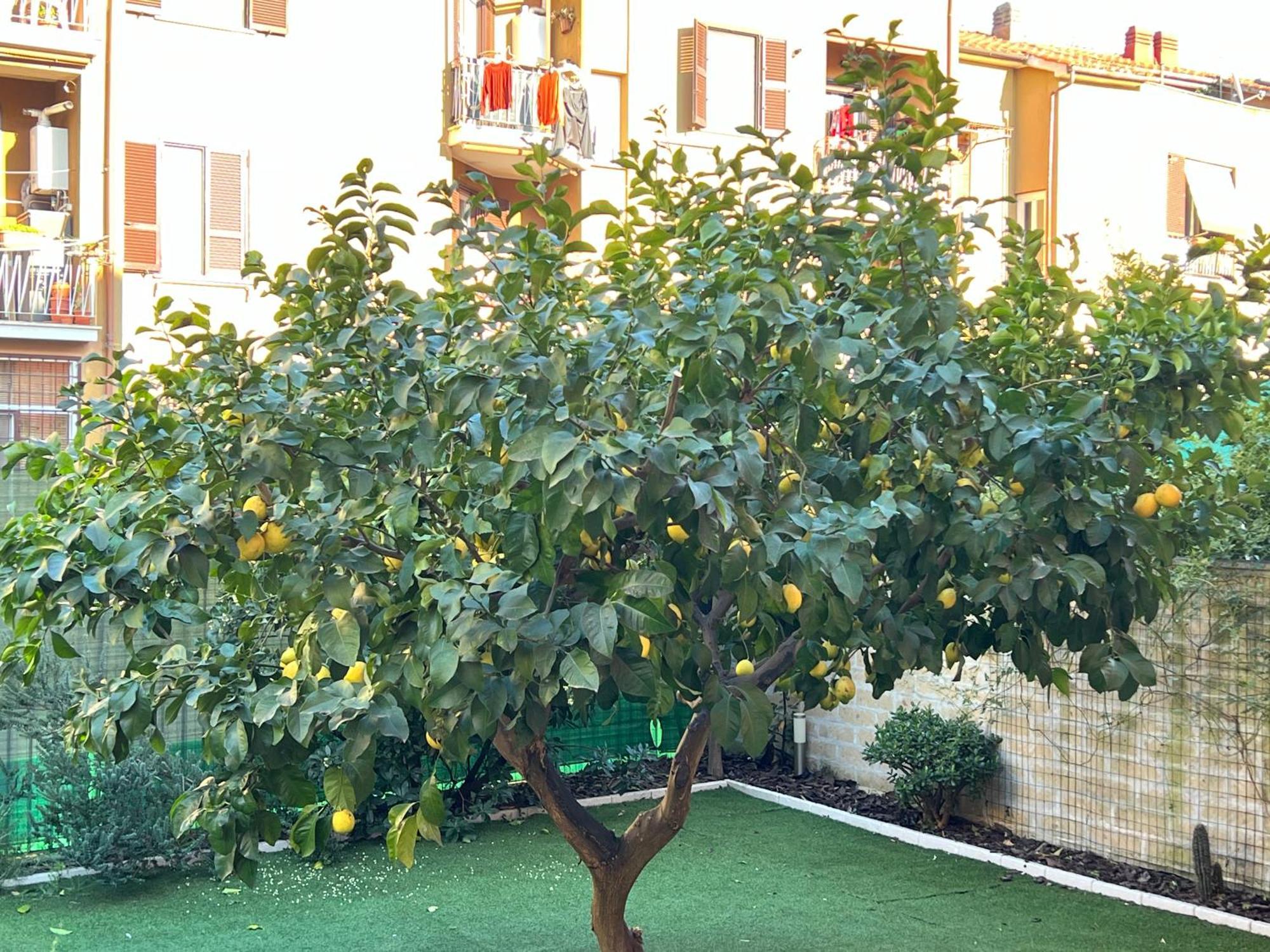 Casa Paestum. Your Wonderful Garden In Rome, Rome